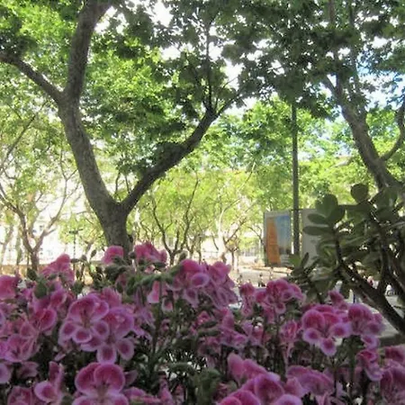 Apartman Sant Antoni Lovely *